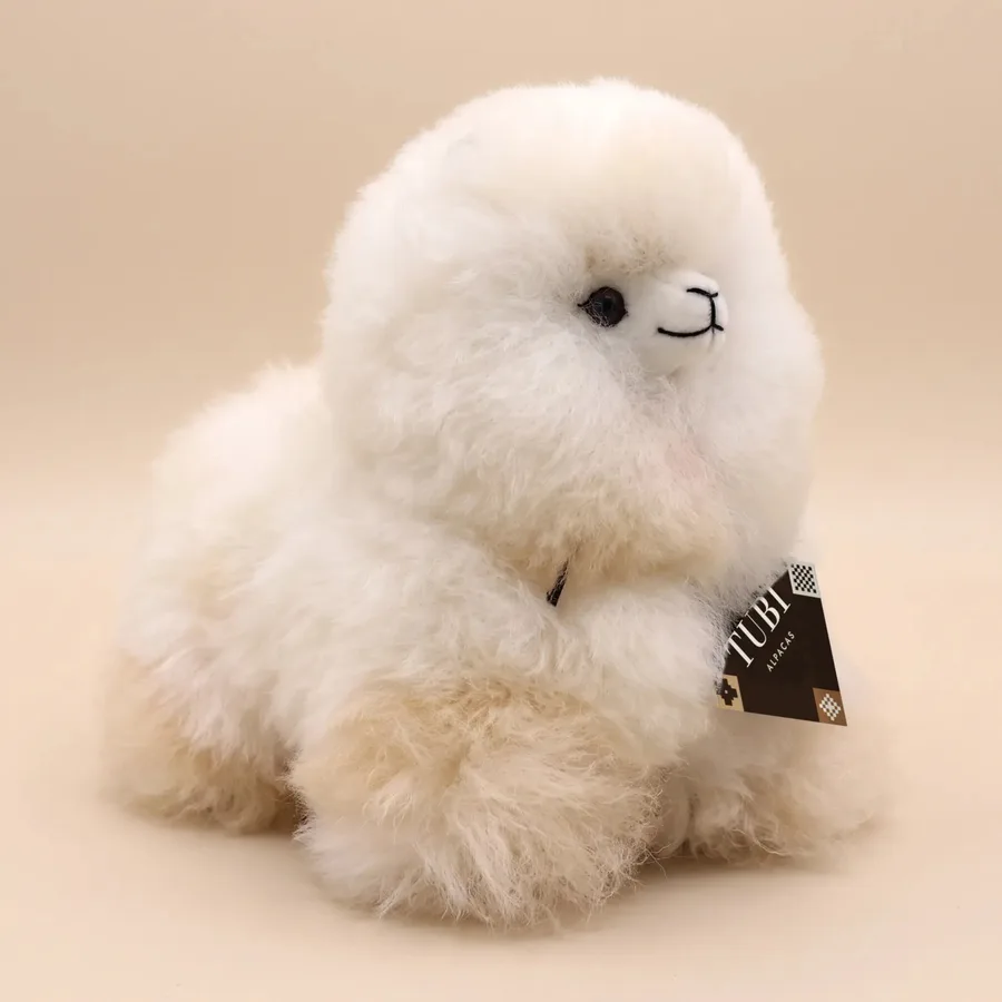 Untrimmed, Mini