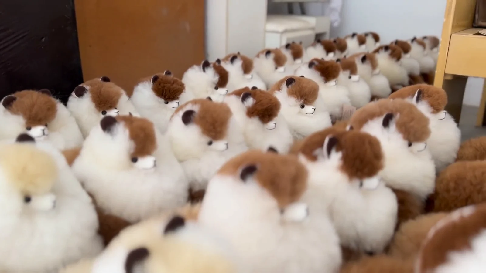 Rows of finished white alpaca stuffed animals in the Tubi workshop