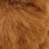 Primer plano de la piel de alpaca Naturals