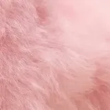 A close-up of the Rainbow alpaca fur