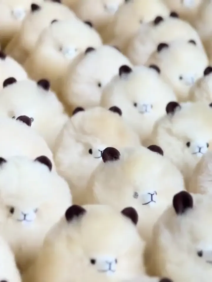 Peluches de alpaca terminados, listos en el taller de Tubi