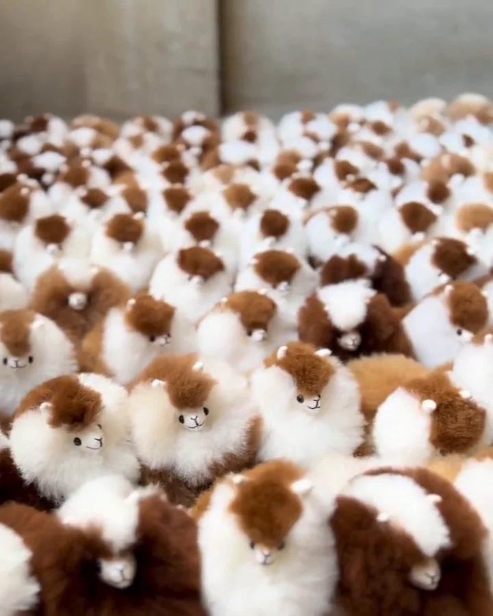 Rows of finished brown and white alpaca stuffed animals in the workshop