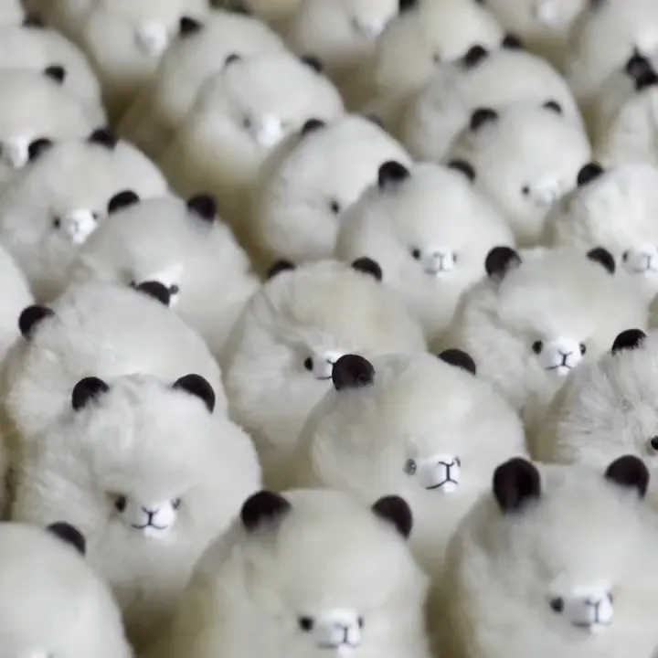 Rows of finished white alpaca toys standing close together in the workshop